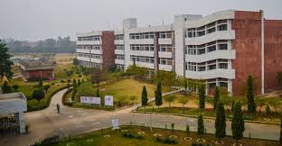 College Image