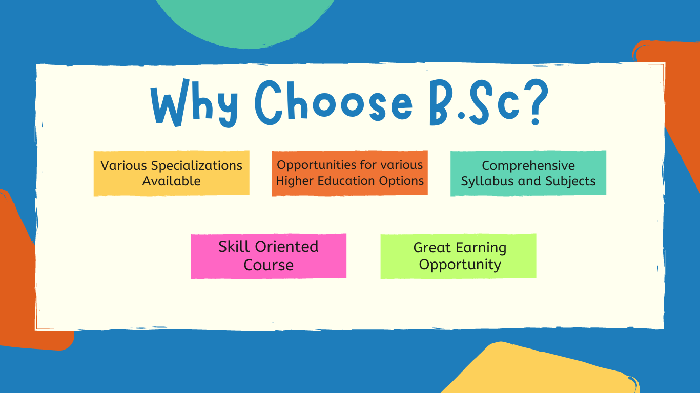 Why Choose a BSc Degree?